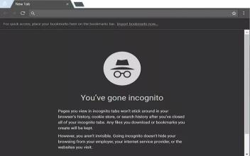 网站躲避谷歌Chrome的隐身保护