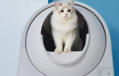 小米有品众筹上架了一款CATLINK全自动猫砂盆青春版
