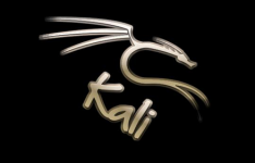 kali linux：Kali Linux安装后需要做些什么