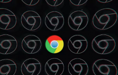 Chrome错误意味着浏览器不尊重用户删除谷歌网站数据的请求