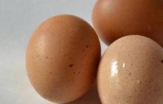 百科动态：家里只有面粉和鸡蛋做什么吃