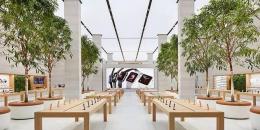 买iPhone 12还是等iPhone 13如何决定哪款苹果旗舰最适合你