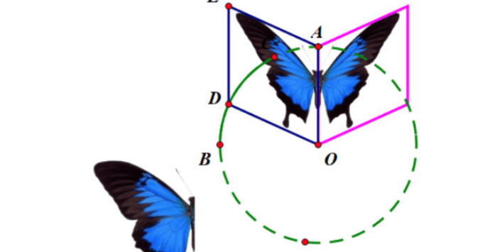 几何画板怎样制作蝴蝶动画，几何画板蝴蝶动画设计方法介绍插图4