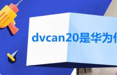 dvcan20华为是什么手机