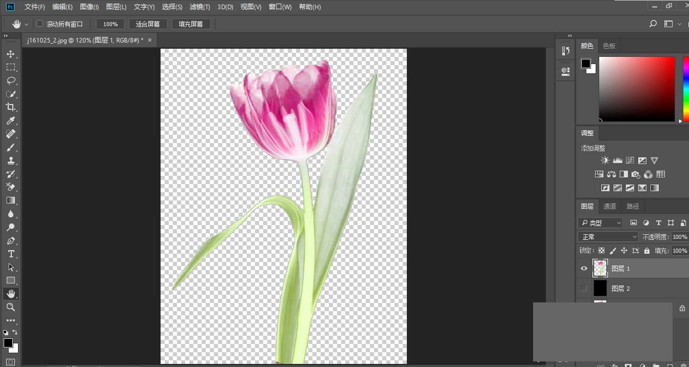 如何用ps抠出带有透明效果的花朵，ps教程插图3