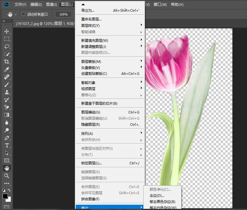 如何用ps抠出带有透明效果的花朵，ps教程插图4