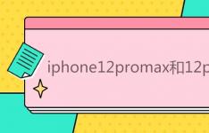 iphone12promax和12pro的区别