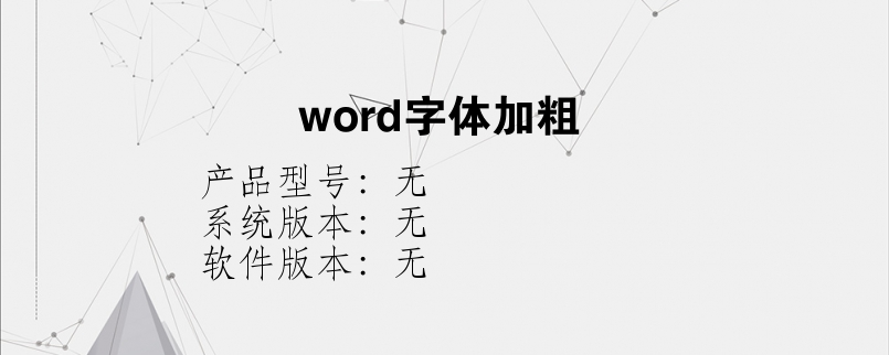 word字体加粗
