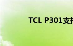 TCL P301支持自动开关机吗