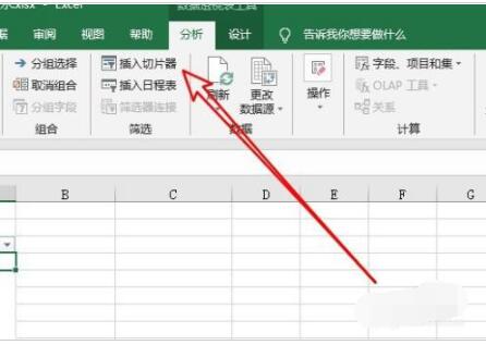 Excel2019透视表怎样使用切片器，Excel2019透视表使用切片器教程插图2