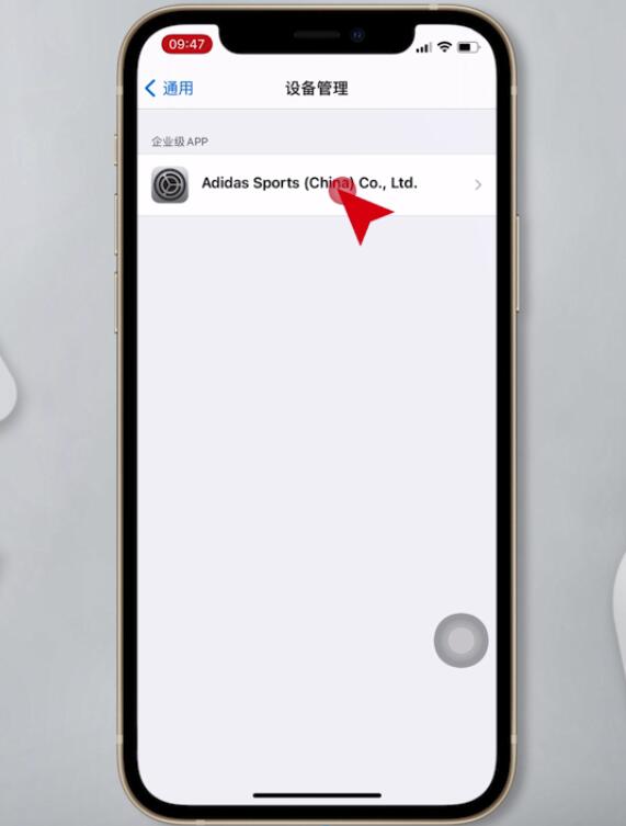 iphone信任app怎么设置插图3