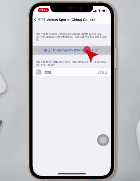 iphone信任app怎么设置插图4