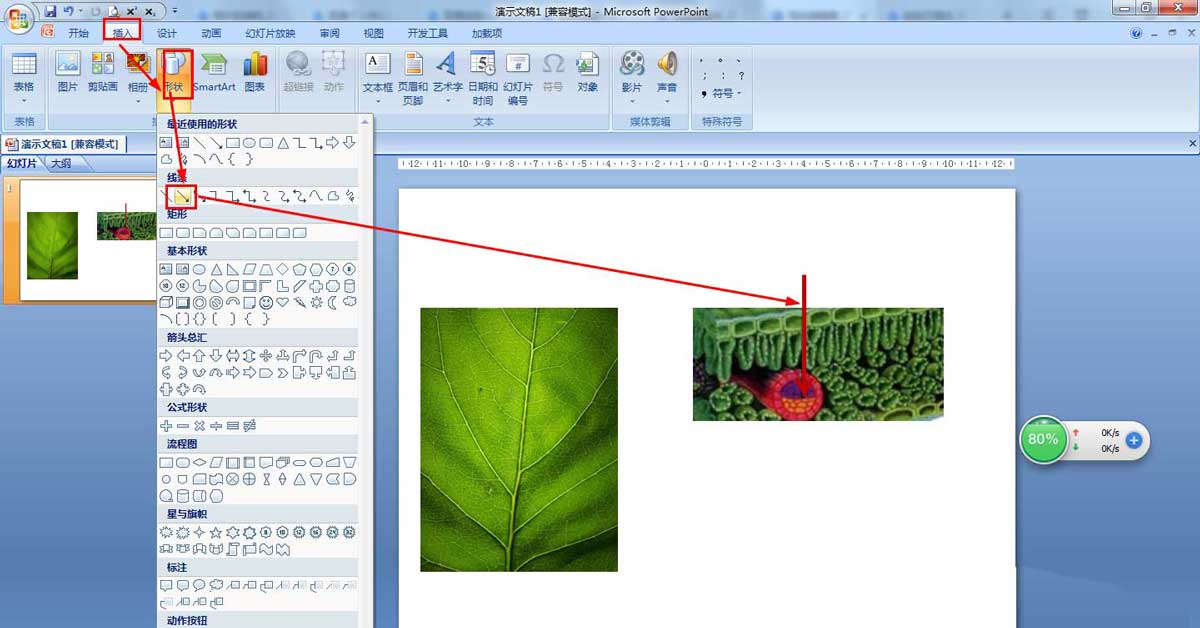 PPT怎么画树叶的结构名称图解，ppt画树叶的结构图的技巧插图1