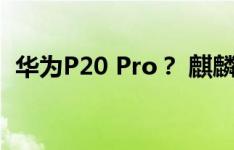 华为P20 Pro？ 麒麟970搭载Android 8.1