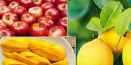 芒果和木瓜和其他你应该吃的水果让皮肤和头发发光