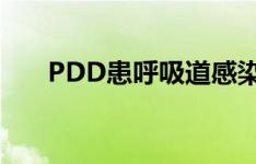 PDD患呼吸道感染 微博表示暂停直播
