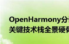 OpenHarmony分论坛上-Android+ARM关键技术栈全景硬骨头
