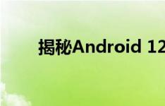 揭秘Android 12首个开发者预览版