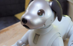索尼aibo机器人小狗的魅力